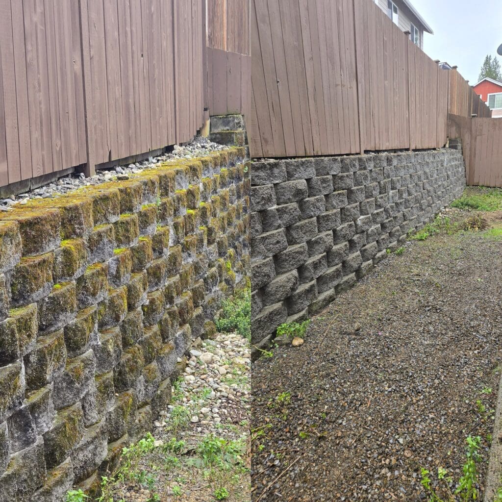 Moss-covered retaining wall and fence.