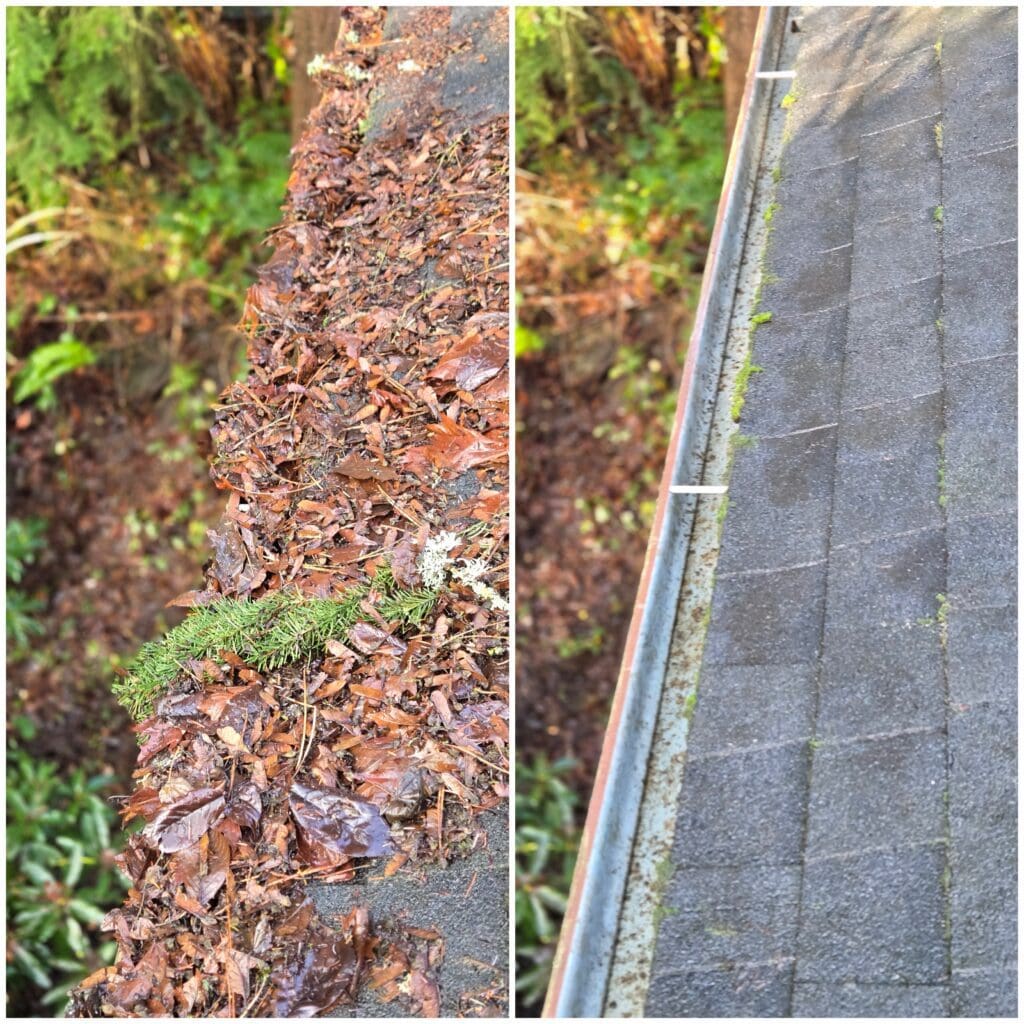 Before & after gutter cleaning.