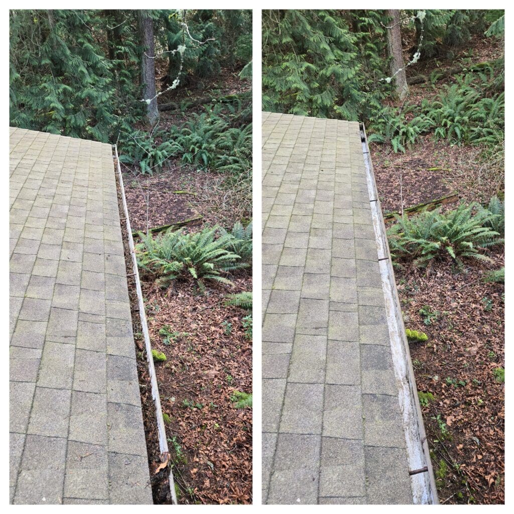 Before and after gutter cleaning.