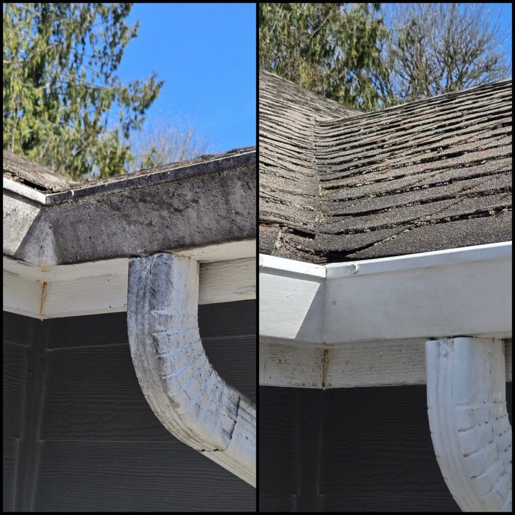 Before & after gutter cleaning.