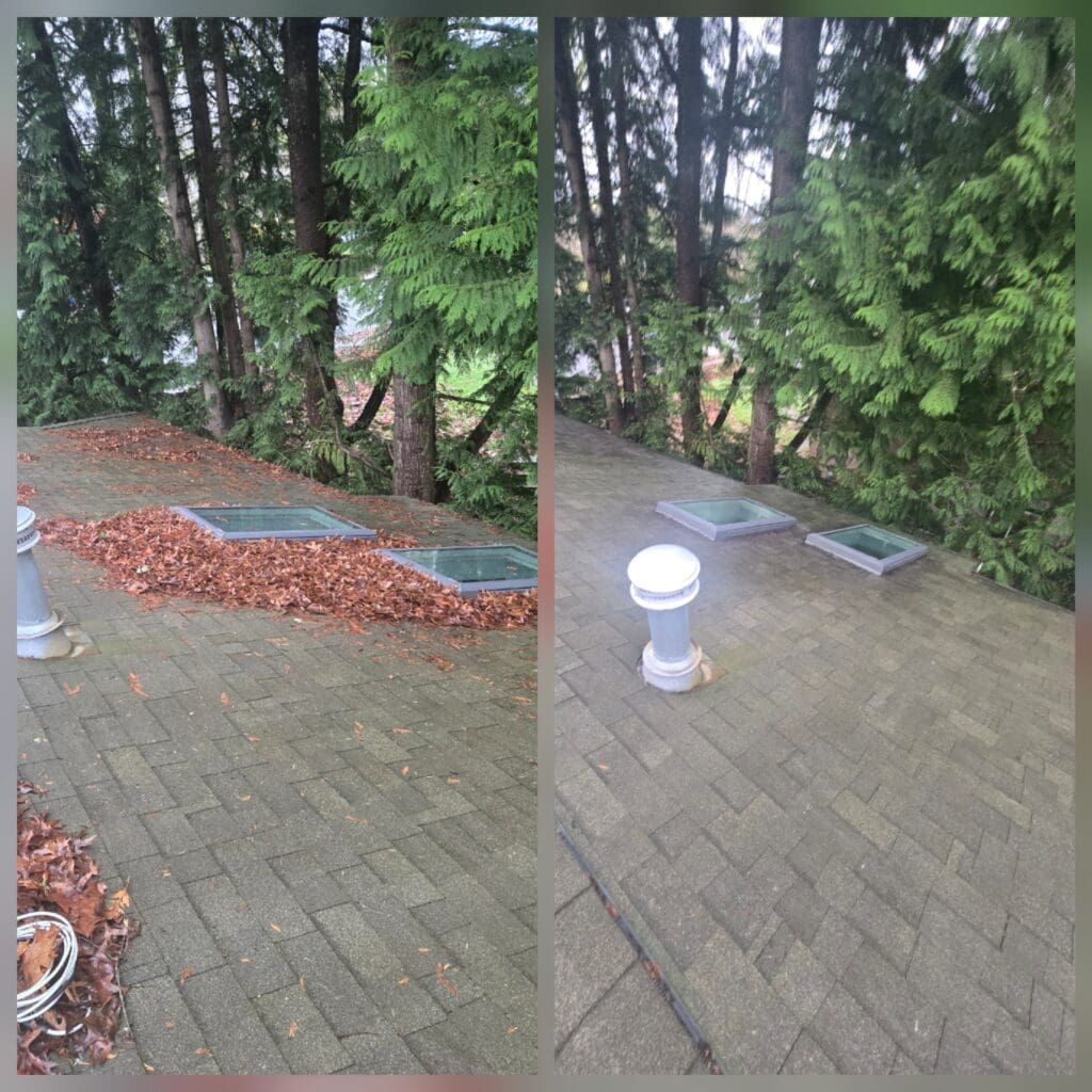 20260211_120706